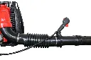 64098e.webp